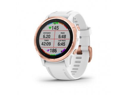 Garmin Fenix 6s